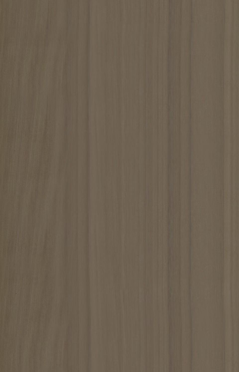 3F009-美洲黃楊
