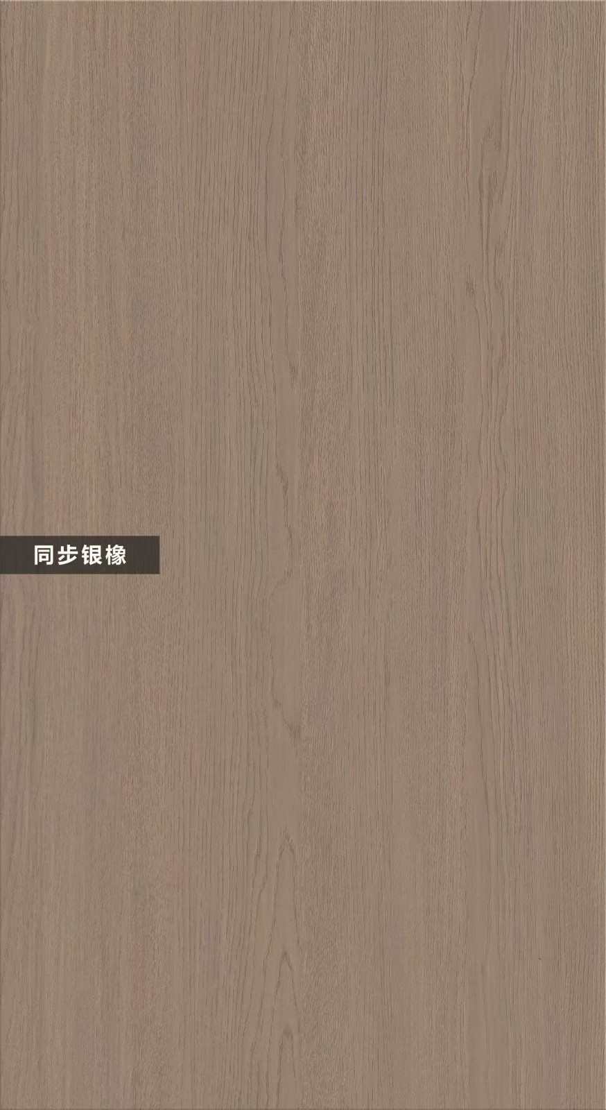 T09-同步銀橡