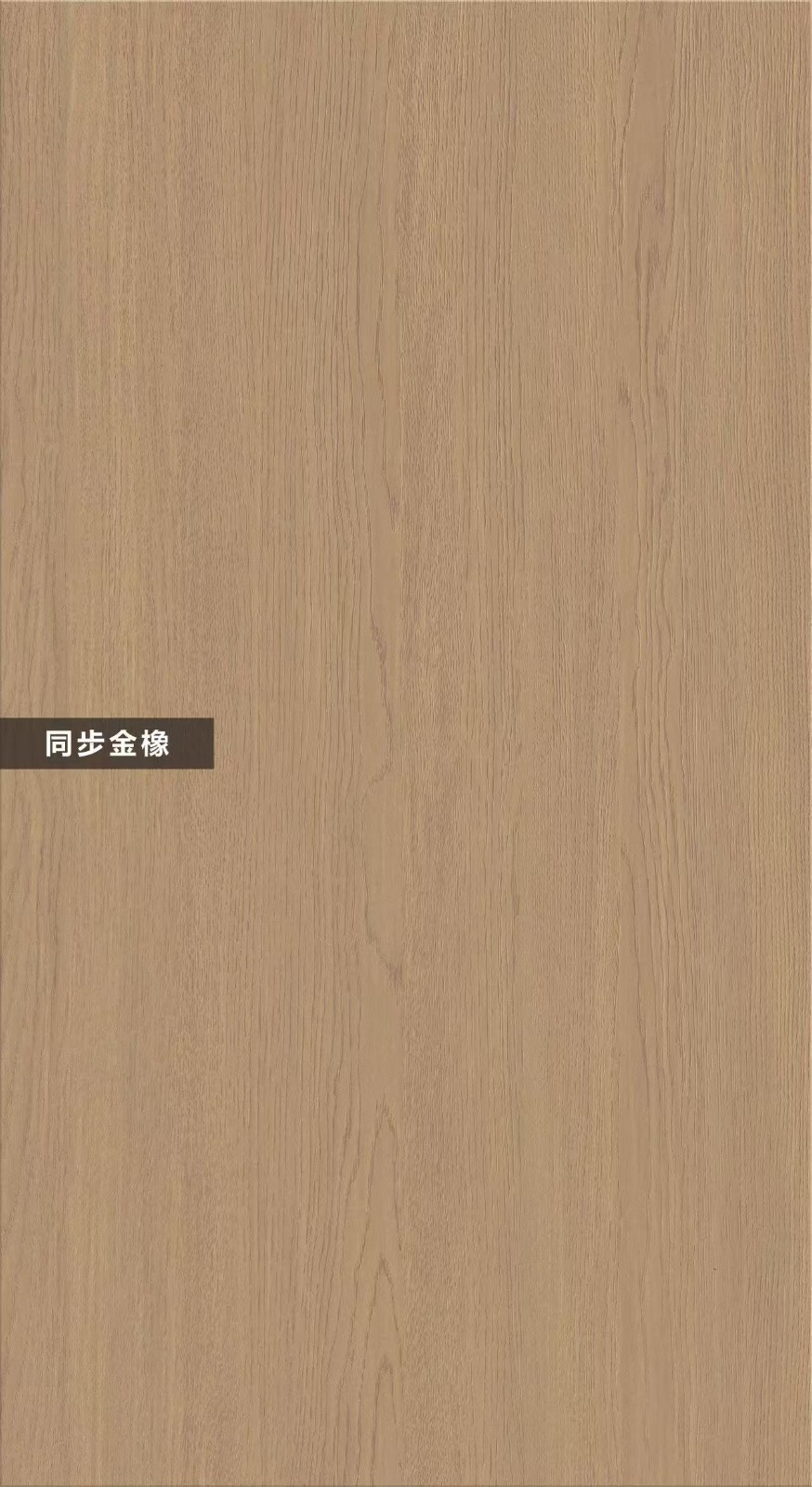 T10-同步金橡
