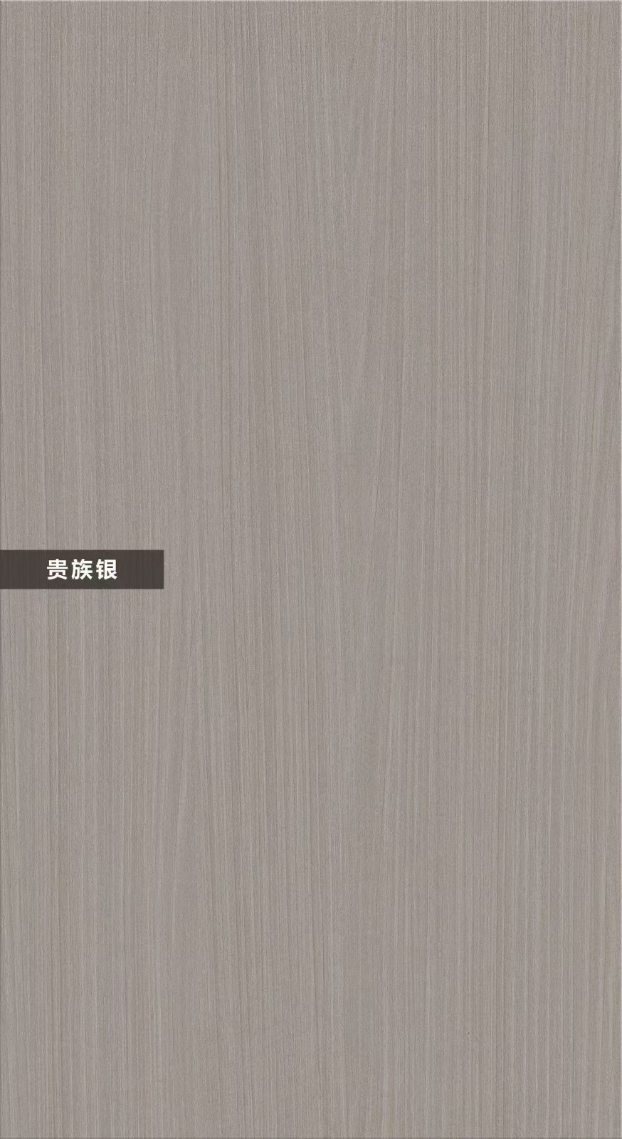 T11-貴族銀