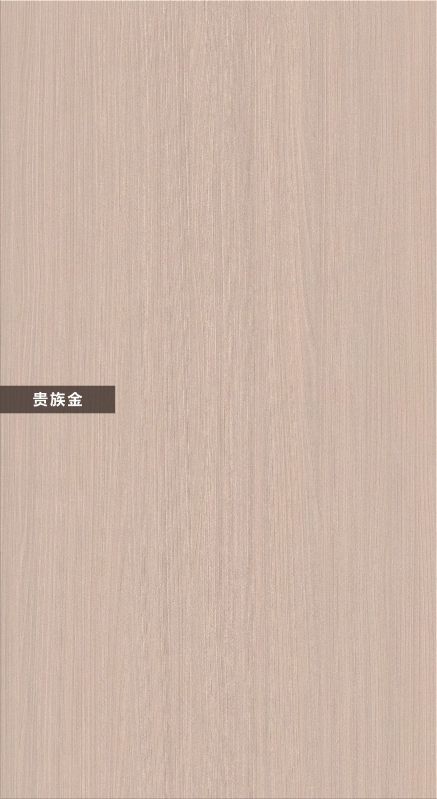 T13-貴族金
