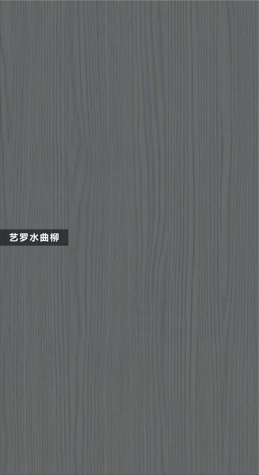 F-A582-藝羅水曲柳
